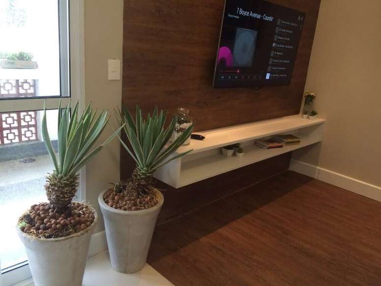 43. Vasos de plantas para sala