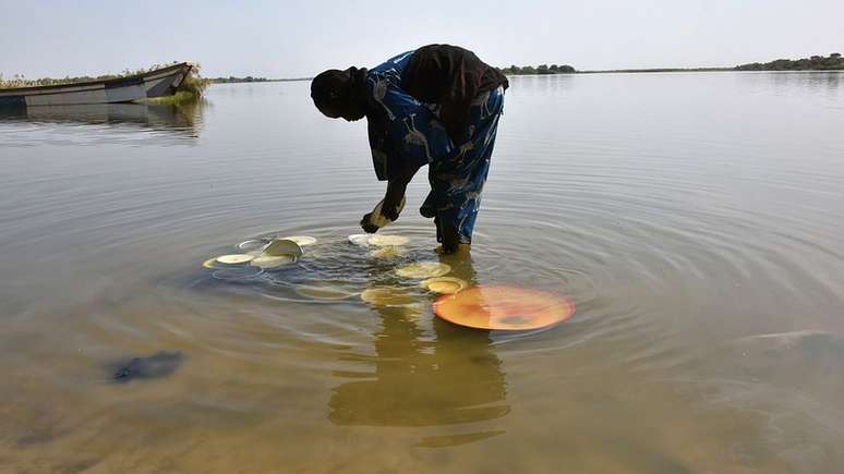 Lago Chade era a principal fonte de &aacute;gua do Cintur&atilde;o do Sahel, uma &aacute;rea de extens&atilde;o de 5 mil Km&sup2;