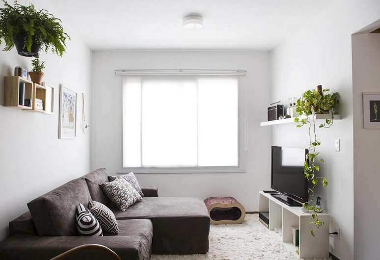 8. Decoração de sala com sofá retrátil cinza e plantas.