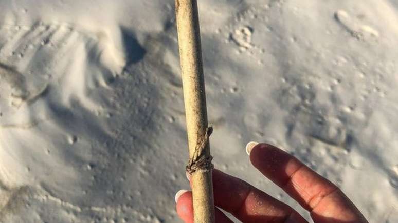 Papel foi encontrado enrolado como um cigarro dentro da garrafa depois de quase 132 anos | Foto: Image Kymillman.com