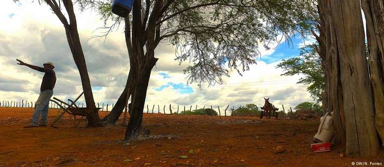 Em Floresta, Pernambuco, água potável só chega com os caminhões-pipa. 