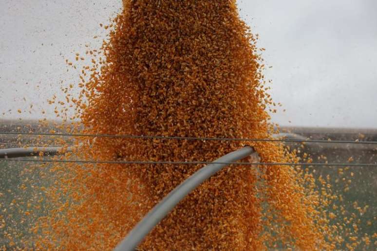 Milho sendo despejado em caminhão durante colheita em Dixon, Nebraska, EUA
26/01/2017
REUTERS/Lucas Jackson