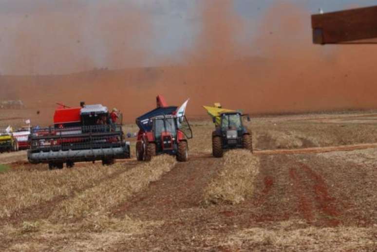 Safra de cereais, leguminosas e oleaginosas deve fechar 2018 com 227,2 milhões de toneladas contra 240,6 milhões do ano passado