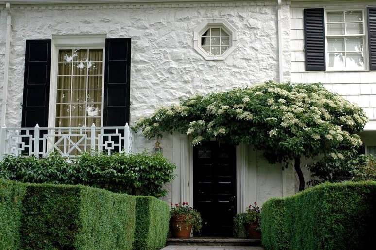17. Casa com muro verde parede de pedras pintadas de branco.