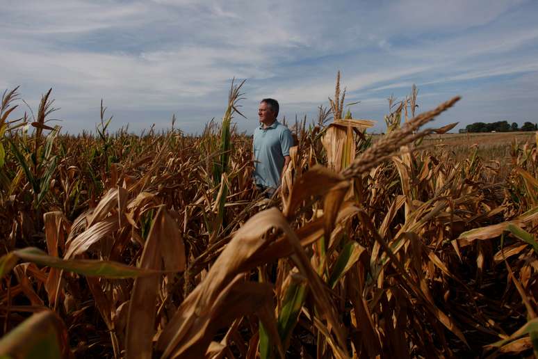Agricultor em plantação de milho danificada pela seca em Chivilcoy, na Argentina 
28/02/2018
 REUTERS/Martin Acosta 