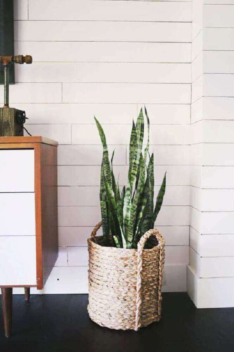 28. O vasos decorativos para plantas tipo cesto s&atilde;o &oacute;timos para decora&ccedil;&otilde;es r&uacute;sticas e simples