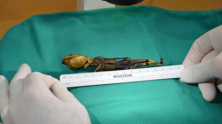 A múmia chamada de Ata tem 10 pares de costelas, em vez de 12; especulou-se que poderia ser o esqueleto de um extraterrestre | Foto: Emery Smith