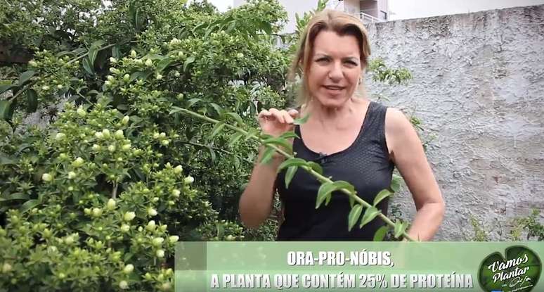 Olga Bongiovanni transformou o quintal de sua casa em cenário para a gravação de vídeos sobre o cultivo de alimentos.