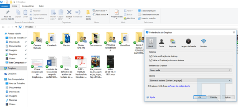 O grande trunfo do Dropbox é a forma como ele se integra ao Windows e como faz tudo parecer bastante simples e transparente ao usuário (Captura de tela: Sergio Oliveira)