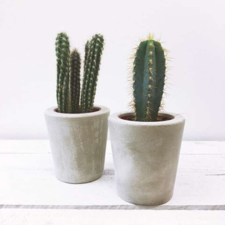 2. Tenha vasos de cimento t&atilde;o bonitos quanto estes na sua casa!