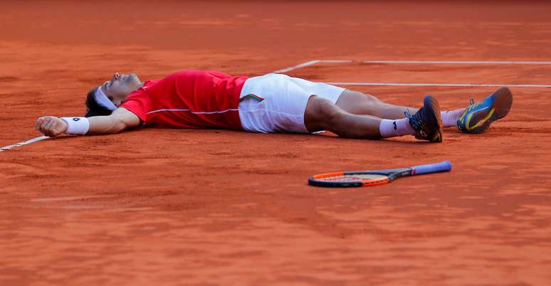 David Ferrer comemora vitória da Espanha