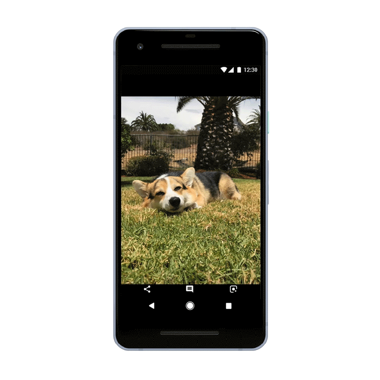 Funcionalidade permite identificar a raça do seu cachorro (Foto: Divulgação/Google)