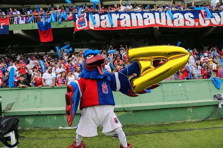 Ave símbolo do Estado, a gralha azul é o animal que o Paraná Clube adotou como mascote.