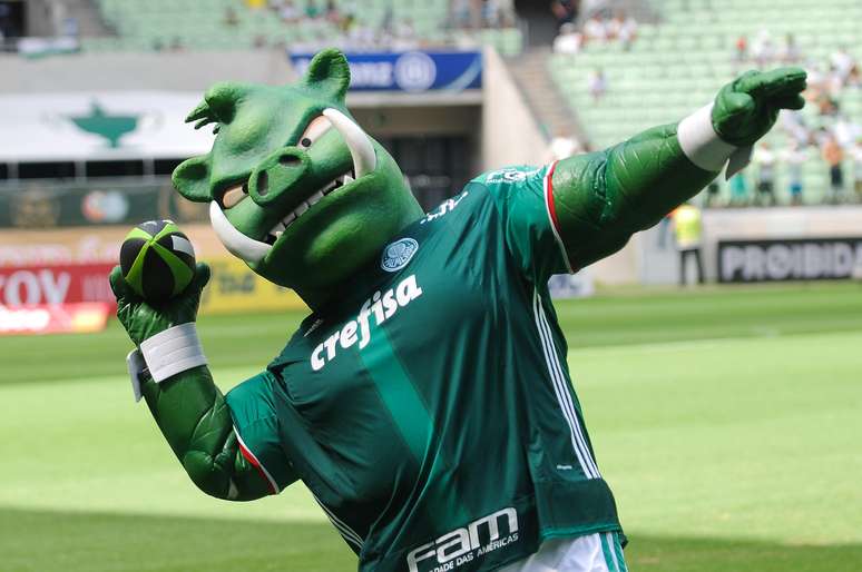 O periquito foi o primeiro mascote adotado pelo Palmeiras, mas depois, através de uma brincadeira dos rivais em SP, surgiu o Porco, que acabou 'adotado' pela torcida alviverde. 