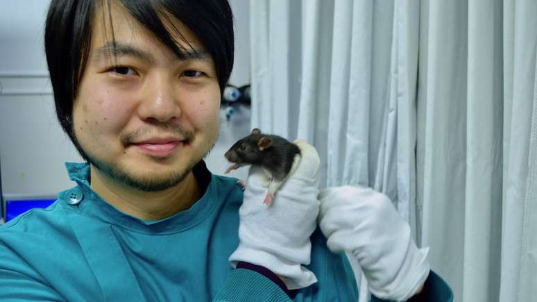Um dos ratos usados no estudo ficou "viciado" em receber cócegas, diz o cientista