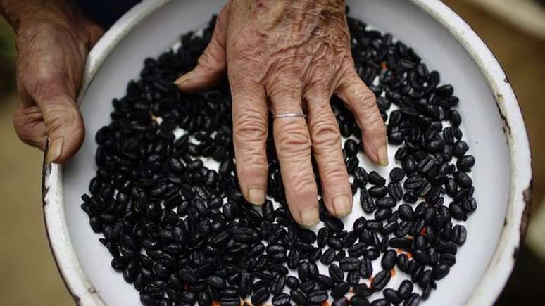 No sopé de Sierra Maestra, o microclima é perfeito para plantar café