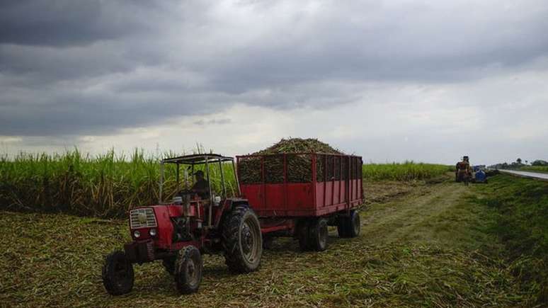 Mas seja nas plantações de café, de cana-de-açúcar ou de tabaco, quase todos os que trabalham na agricultura parecem concordar com as limitações da tecnologia