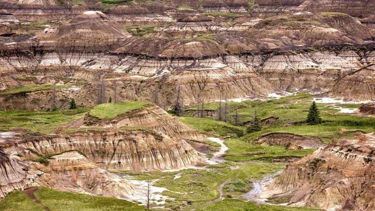 Os depósitos de areia e lama do semi-árido canadense rapidamente enterraram ossos, tornando a área uma das mais ricas do mundo para a 'caça' de fósseis de dinossauro
