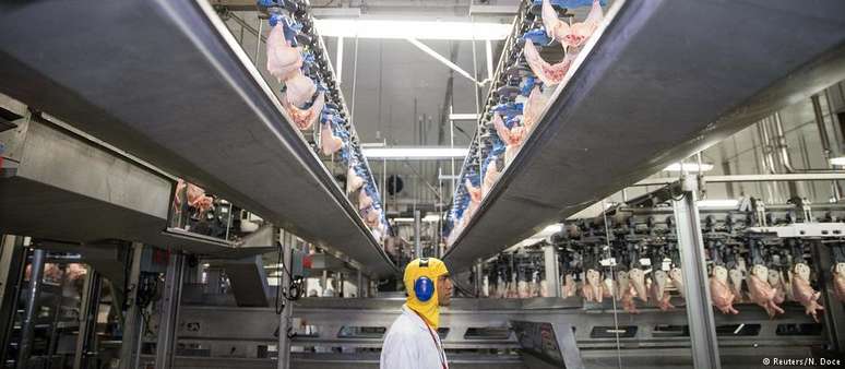 Com a suspensão dos 20 frigoríficos, cerca de 30% a 35% das exportações de frango à UE devem ser afetadas
