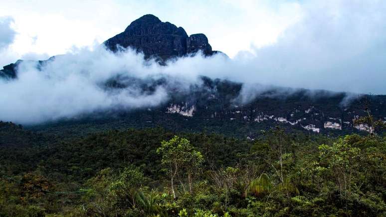 Pico da Neblina é um tepui, uma das formações mais antigas da Terra