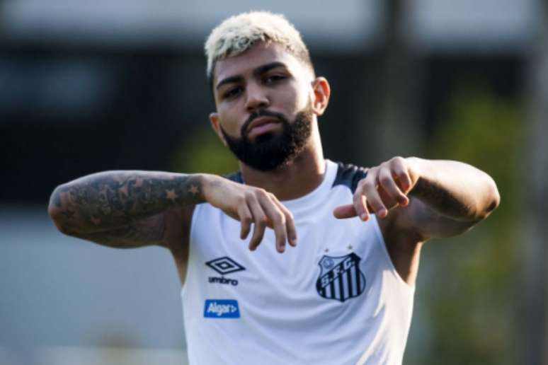 Gabriel é o atual camisa 10 do Santos e tem 15 gols marcados na Copa do Brasil com o Peixe (Foto: Ivan Storti/Santos)