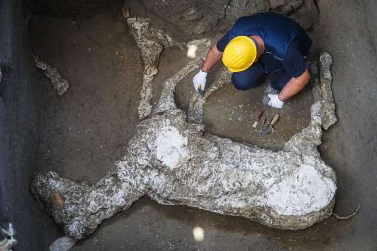 O cavalo encontrado em Pompeia foi descoberto pelas equipes de escavação do sítio arqueológico