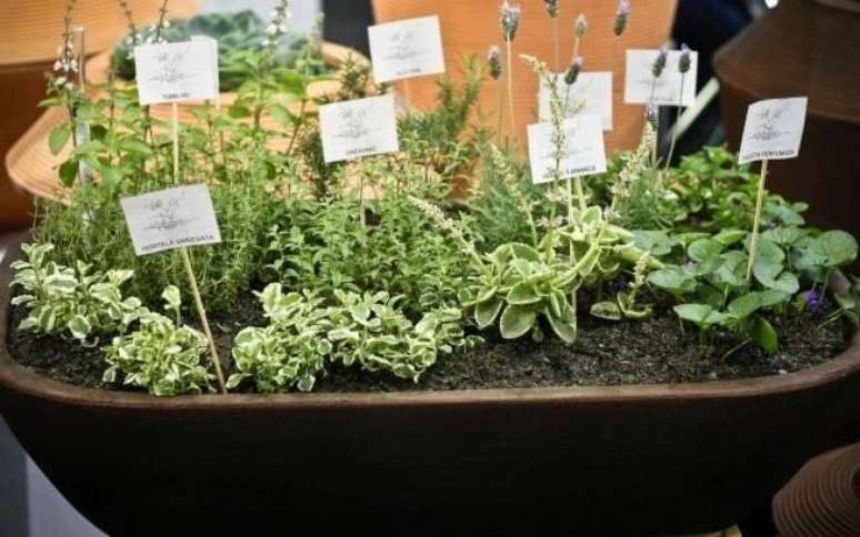 16. Você pode também fazer uma mini horta em casa, colocando várias plantas que combinem em um mesmo vaso. Projeto de MC3 Arquitetura