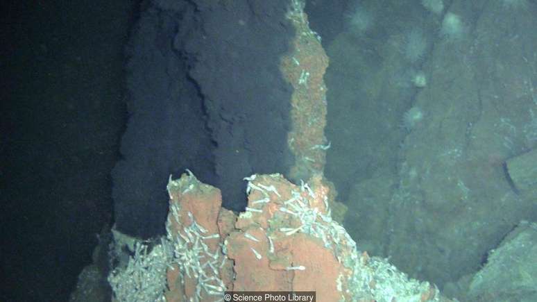 Algumas áreas do fundo do oceano apresentam intensa atividade vulcânica | Foto: Science Photo Library