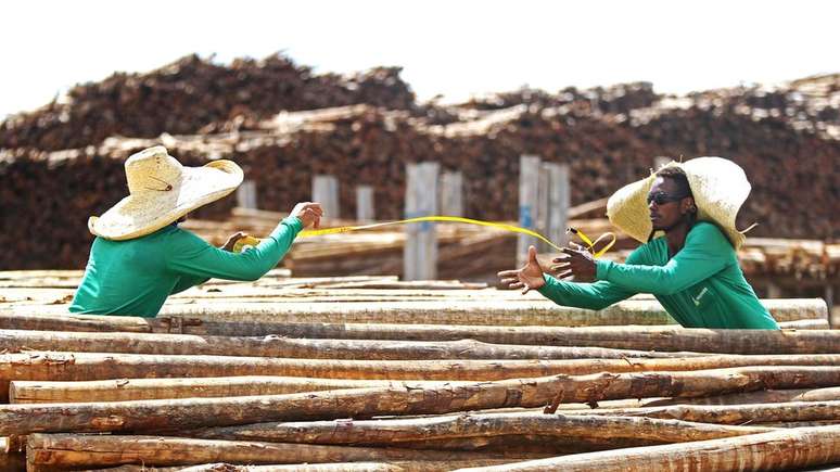 Decis&atilde;o do BNDES de comprar participa&ccedil;&atilde;o em empresas de papel e celulose durante a crise de 2018 foi 'solu&ccedil;&atilde;o &oacute;tima', diz Rabello de Castro