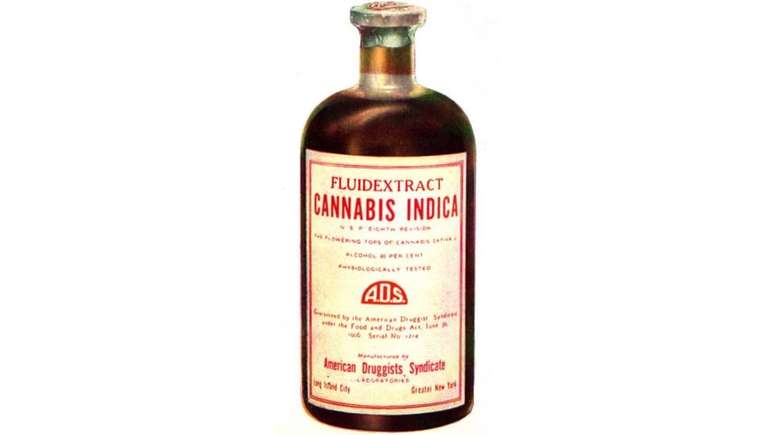 A cannabis foi utilizada nos Estados Unidos como remédio, a partir de 1850