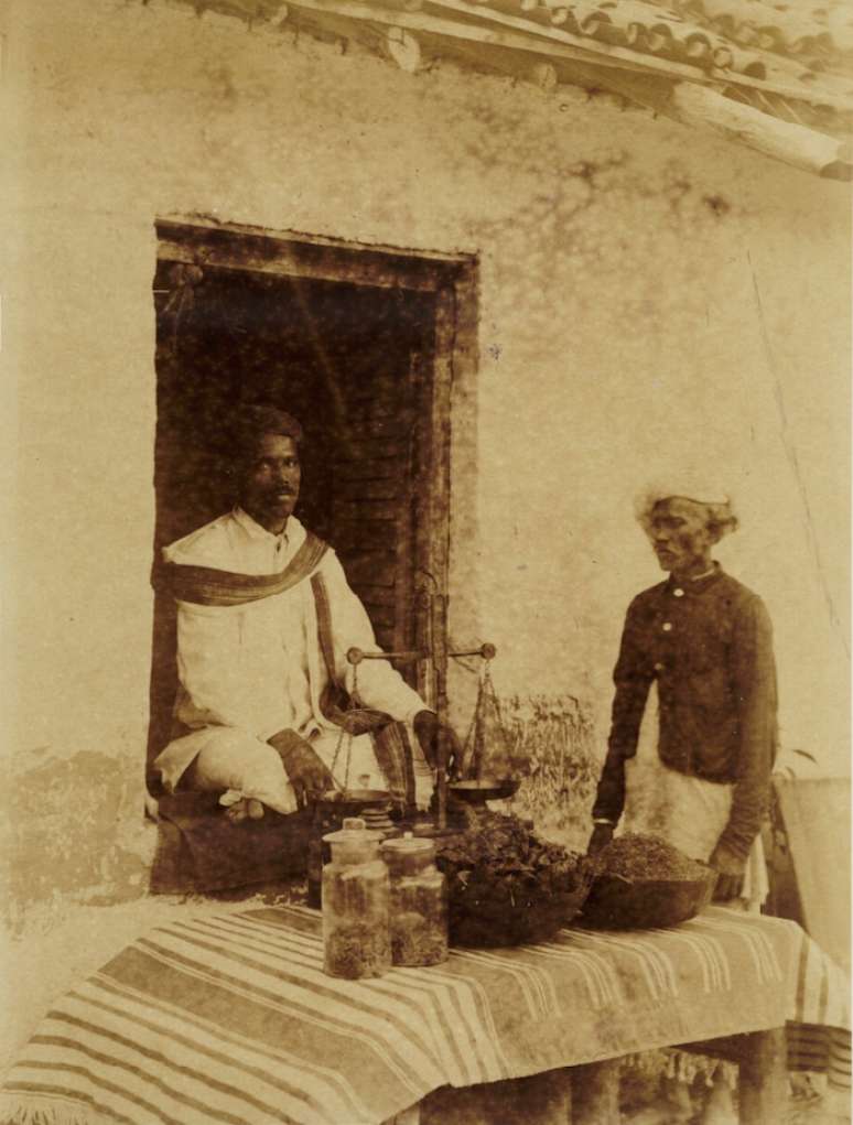 Vendedor de cannabis na Índia, em meados do século 19