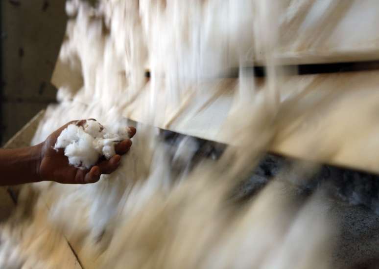 Funcionário segura algodão em fazenda em Mato Grosso 07/09/2011 REUTERS/Paulo Whitaker 