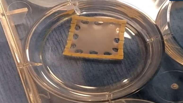 Simula&ccedil;&atilde;o de um 'curativo que pulsa' para o cora&ccedil;&atilde;o | Foto: Reprodu&ccedil;&atilde;o de v&iacute;deo da Universidade de Stanford