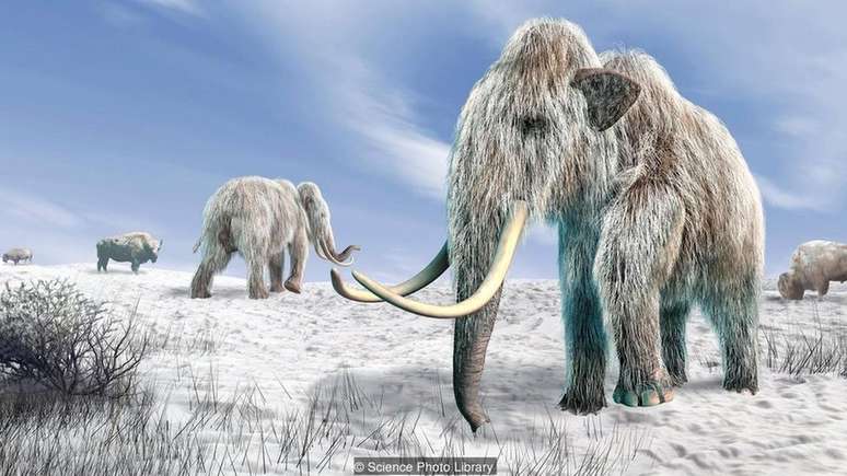 Seria possível clonar um mamute?