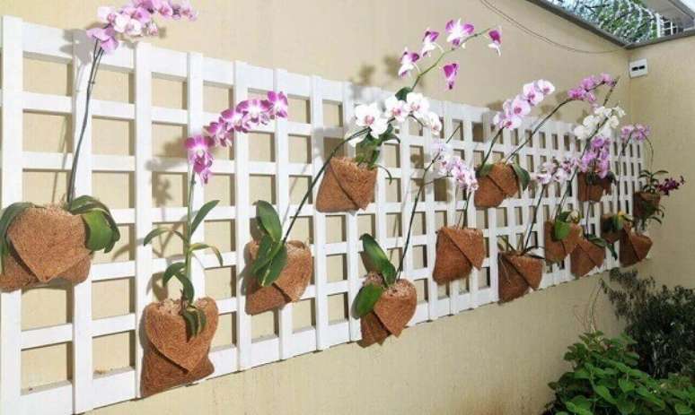 16- Treliça de orquídeas na decoração de parede.