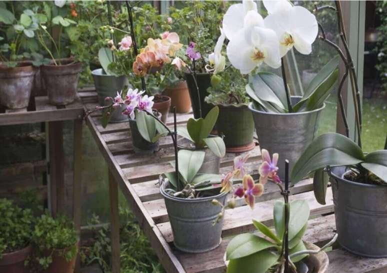 8- Cachepots com vasos de orquídeas