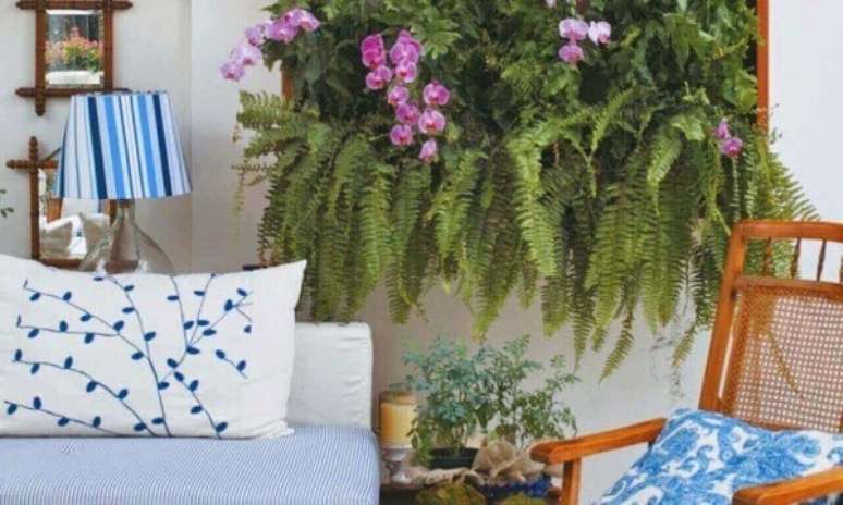 35 &ndash; Samambaias com orqu&iacute;deas no painel verde.