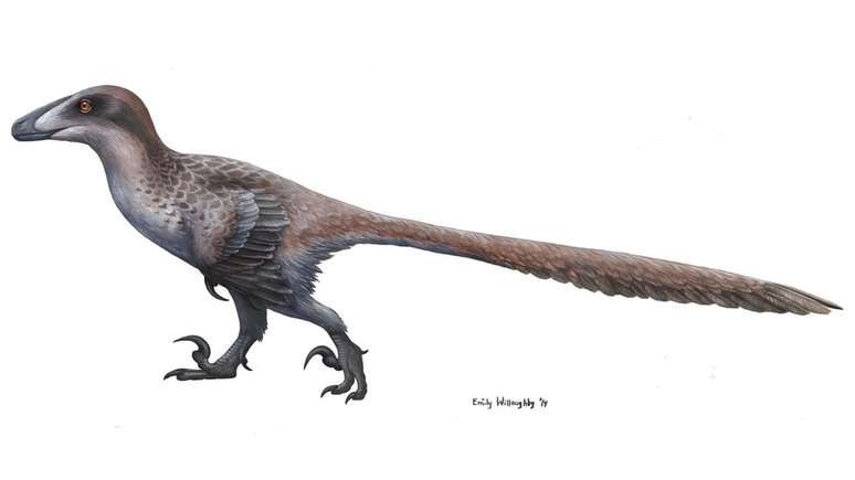 Estudos recentes mostram que dinossauros como o Deinonychus tinham penas