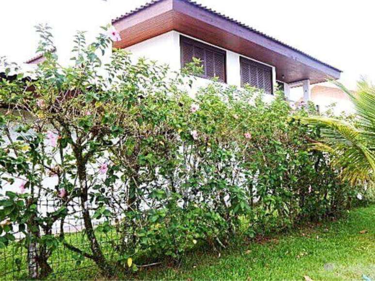 3 -Cerca com Hibisco.