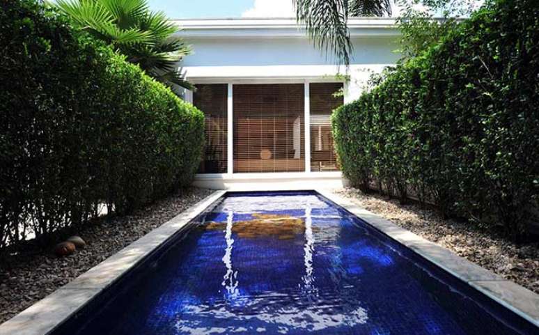 36 &ndash; Cerca viva para quebrar vento na &aacute;rea de piscina.