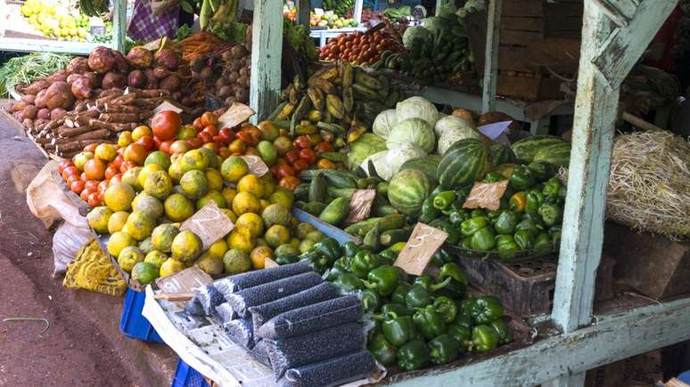 Segundo a FAO, 90 mil moradores de Havana se dedicam a alguma forma de agricultura