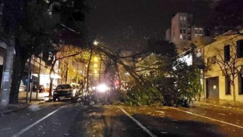  Em Caxias do Sul, a intensidade do vento foi tão forte que derrubou árvores