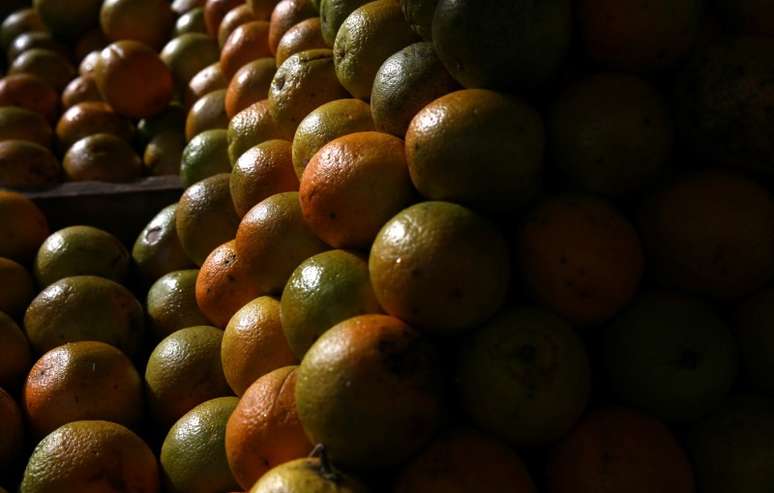 Laranjas à venda em feira no Rio de Janeiro, Brasil
15/02/2018
REUTERS/Pilar Olivares