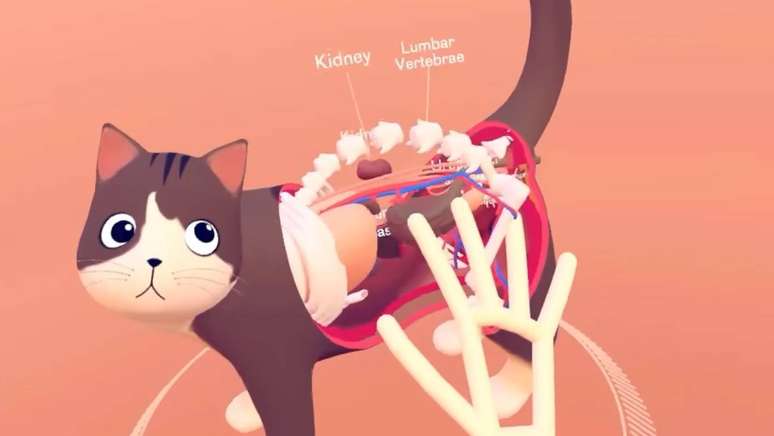 Cat explorer VR