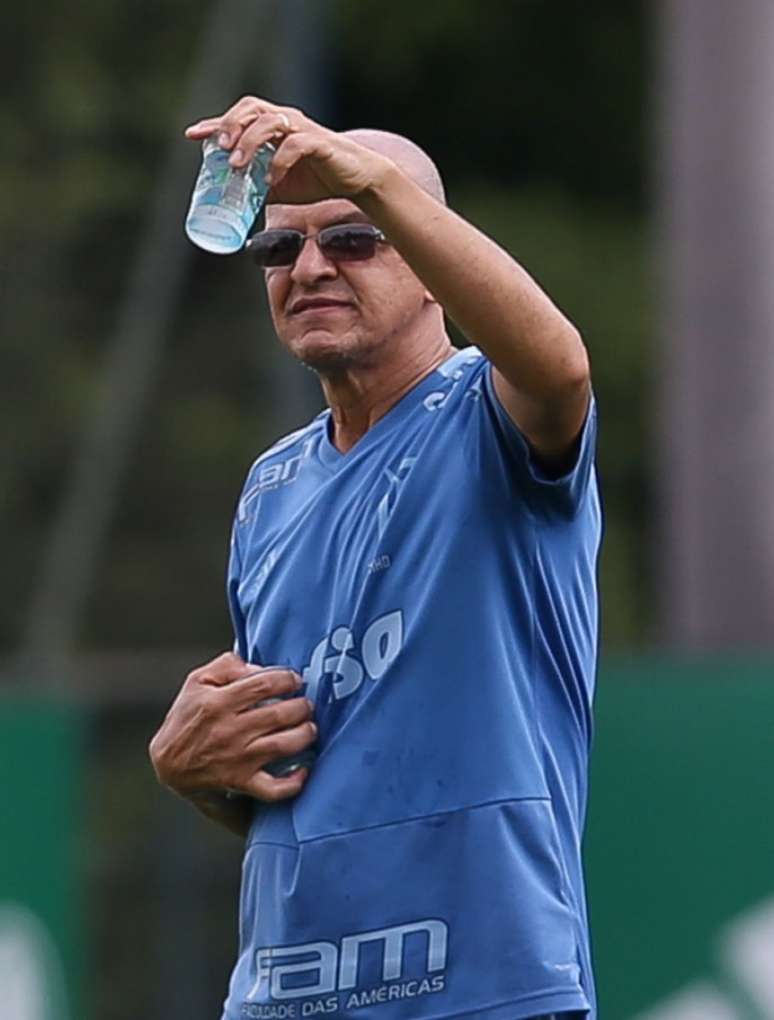 Serginho será o representante do Verdão na Seleção Brasileira durante a Copa do Mundo (Cesar Greco/ Palmeiras)
