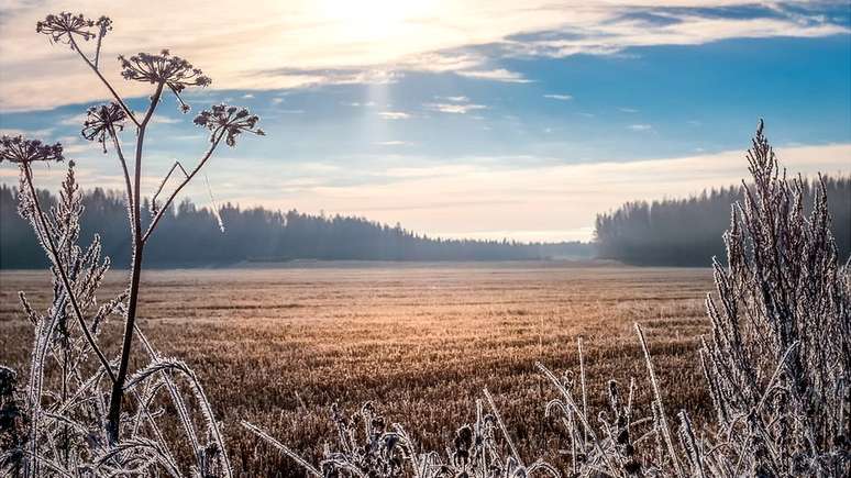 Os invernos na Finlândia são longos e o país chega a registrar apenas 6 horas de luz nos períodos mais duros da estação