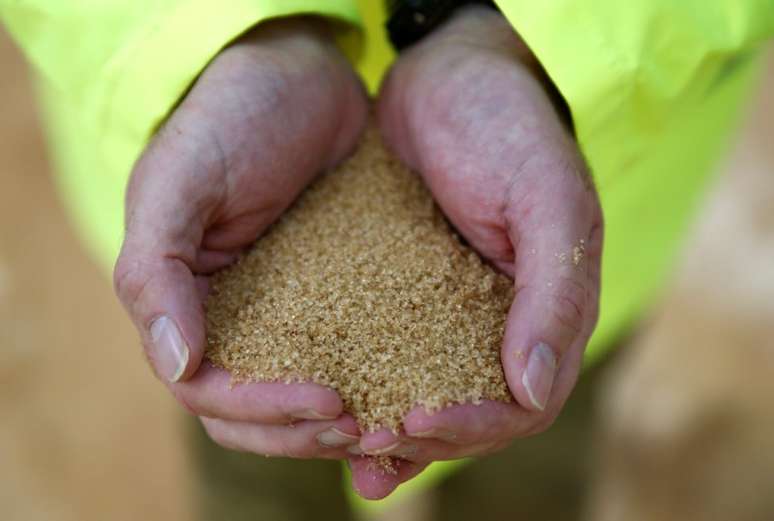  Trabalhador segurando açúcar bruto nas mãos
21/10/2016
REUTERS/Peter Nicholls 
