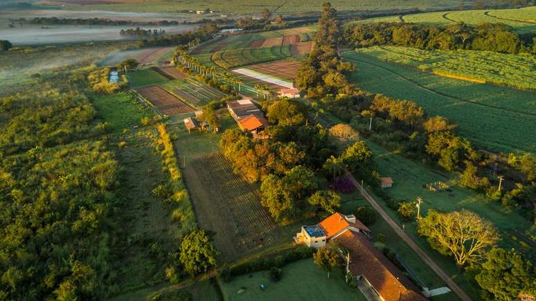 "Quem não gosta de agrotóxicos fica criativo", diz agricultor holandês sobre necessidade de encontrar técnicas alternativas de cultivo