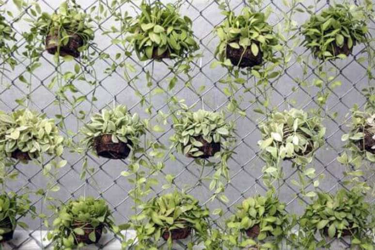 42 &ndash; Jardim vertical com vasos de planta.