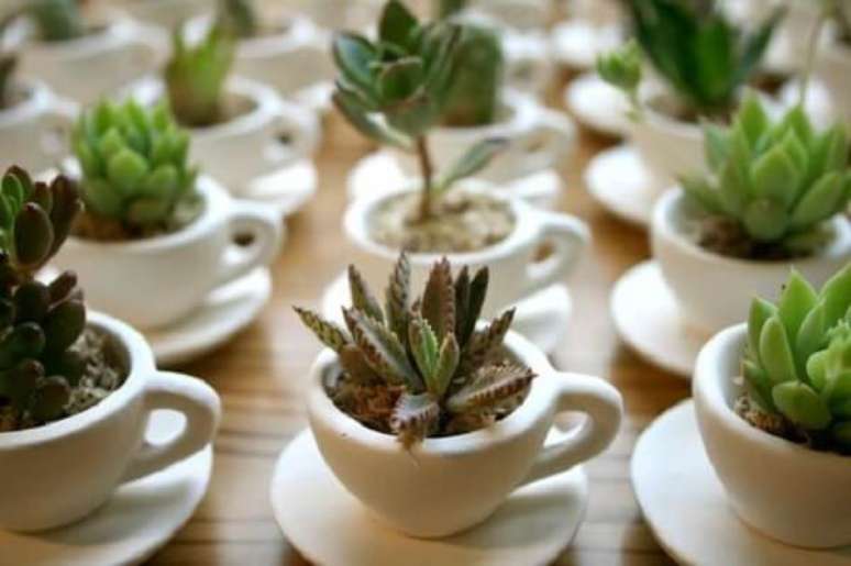 27 &ndash; X&iacute;caras de caf&eacute; usadas como vasinho de planta.